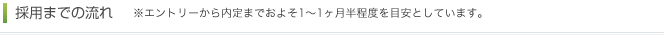 採用までの流れ