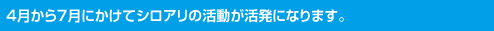 4月から7月にかけてシロアリの活動が活発になります。